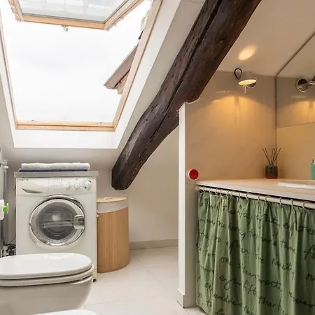 Cozy Attic In The Center Torino